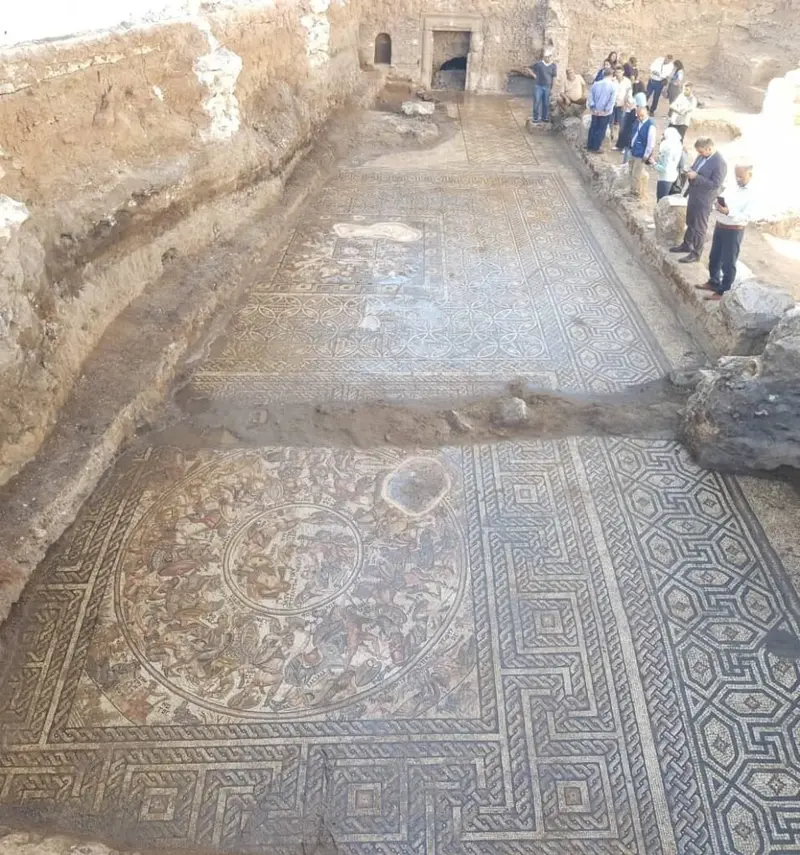 فسيفساء الرستن الرومانية — الاكتشاف الأثري لعام ٢٠٢٢
